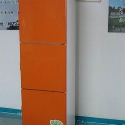 智能電子鞋柜 功能、代理、批發與廠家全解析